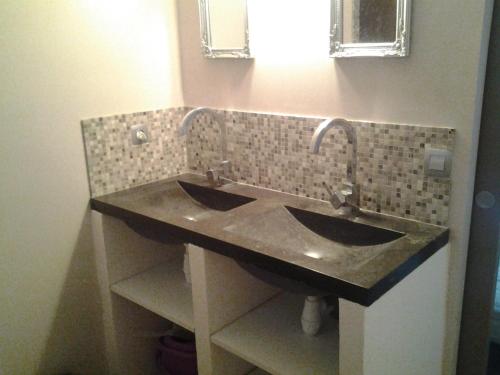 une salle de bain avec un lavabo et un miroir dans l'établissement Studio la campagne en ville, à Nîmes