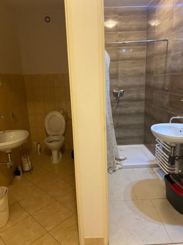 a bathroom with a shower and a toilet and a sink at Tanie Nocowanie in Parczew