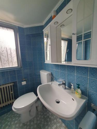 A bathroom at Schönes, vollmöbliertes Zimmer direkt an der Uniklinik Mainz