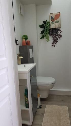 une salle de bain avec des toilettes blanches et un lavabo dans l'établissement Petit studio Magellan, à Nantes