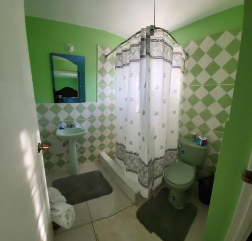 a bathroom with a shower and a toilet and a sink at Eve's Rockaway Villa in Alligator Pond Village