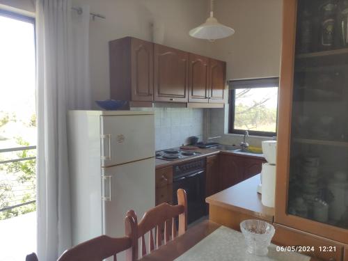 eine Küche mit Holzschränken und einem weißen Kühlschrank in der Unterkunft Nina's Cozy Home in Chrani