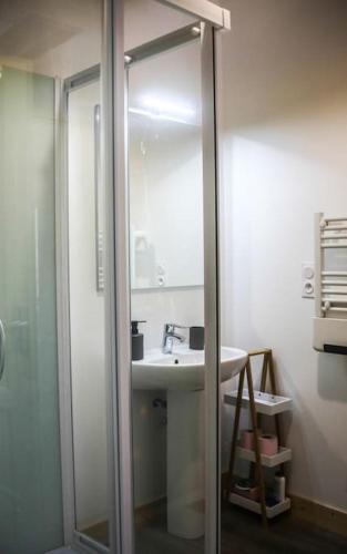 une salle de bain avec une douche, un lavabo et un miroir dans l'établissement Appartement lumineux de 35m² en centre-ville, à Ruffec