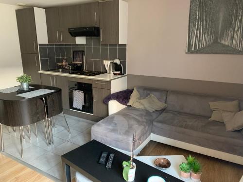 un salon avec un canapé et une cuisine dans l'établissement APPARTEMENT T2 HYPER CENTRE, à Châtellerault