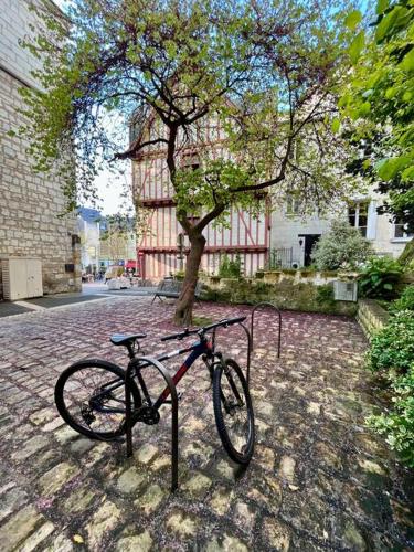 un vélo garé à côté d'un arbre dans une rue dans l'établissement Appartement cosy hypercentre Place St Pierre, à Saumur