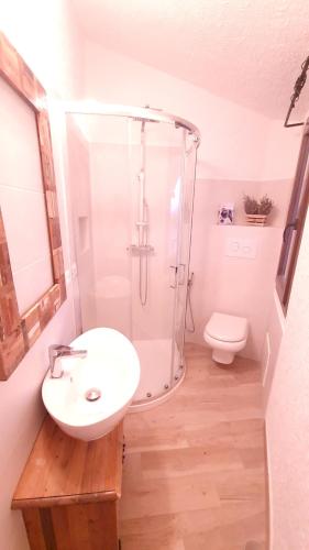 a bathroom with a shower and a sink and a toilet at Villa Sa Mama in San Teodoro
