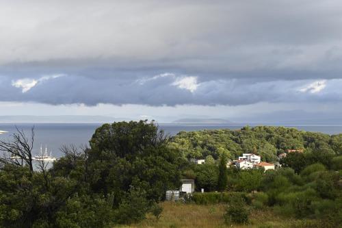 a view of the ocean from a hill with trees at Villa Gehl in Lopar