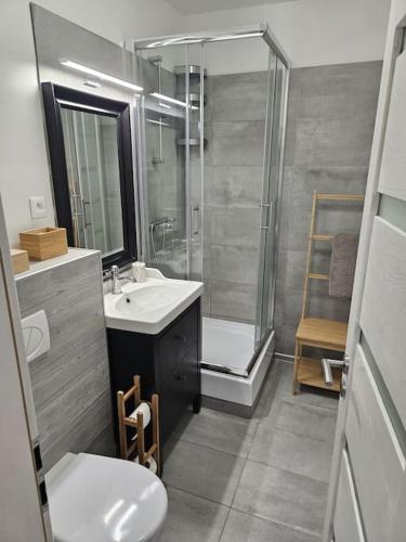 a bathroom with a sink and a shower and a toilet at Tatranka - Vysoké Tatry in Vysoké Tatry