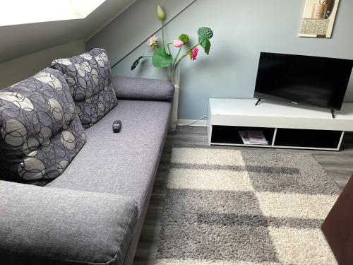 a living room with a couch and a tv at Apartments Pellinger-Hof in Pellingen