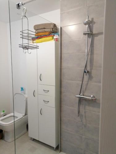 une salle de bain avec toilettes et douche en verre dans l'établissement Domaine de la lumière, à Saint-Jean-de-Monts