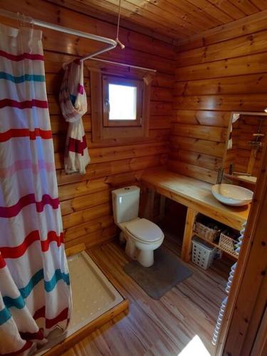 La salle de bains est pourvue de toilettes et d'un lavabo dans une cabane en rondins. dans l'établissement Cosy bright wooden house in Ariege mountains, à Rimont