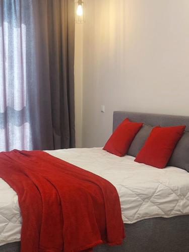 ein Schlafzimmer mit einem Bett mit roten Kissen in der Unterkunft Новобудова ЗЕЛЕНА 261 Пасічна Сихівська in Lwiw