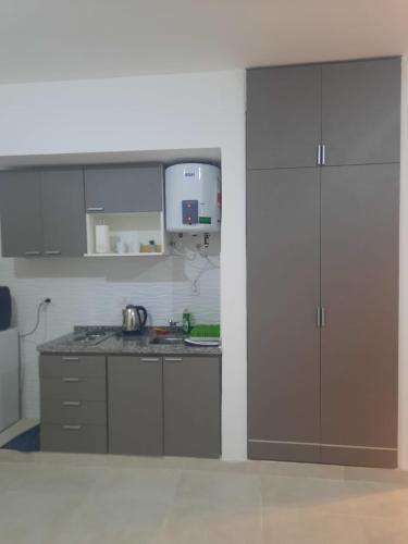 a kitchen with gray cabinets and a counter top at Tu Refugio 3 - Monoambiente/Loft cerca del parque in Santiago del Estero