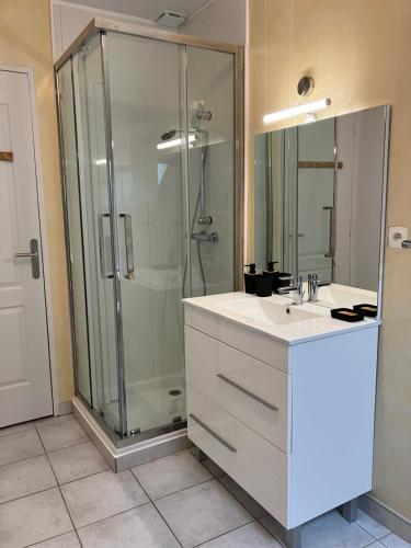 een badkamer met een douche en een witte wastafel bij La Sauveroise in Saint-Sauveur-en-Puisaye