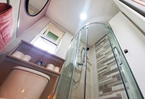 een kleine badkamer met een douche en een wastafel bij Golilli Studio Accommodation Clare in Newmarket on Fergus