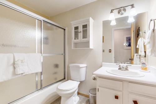 een badkamer met een toilet, een douche en een wastafel bij Casa Feliz in Tahoe Vista