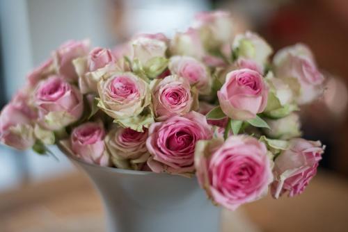 a bouquet of pink roses in a white vase at Maison d'Hôtes Cerf'titude in Érezée