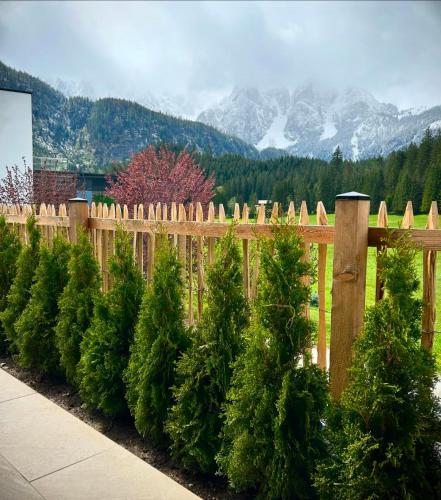 a row of christmas trees in front of a wooden fence at Apartment Gosauschmied in Gosau