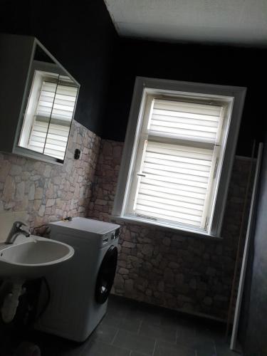 a bathroom with a toilet and a sink and two windows at Einfache Monteurwohnung in Bleicherode in Bleicherode