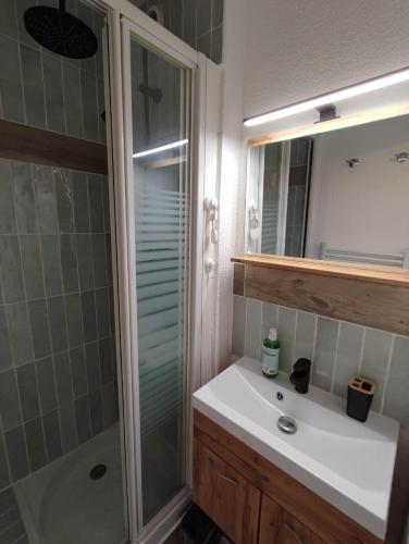 une salle de bain avec une douche, un lavabo et un miroir dans l'établissement Mimi&Cosy, appartement en bord de mer à Six-Fours-les-plages, à Six-Fours-les-Plages