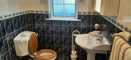 La salle de bains est pourvue de toilettes et d'un lavabo. dans l'établissement Village Cottage, à Dunkineely