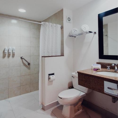 a bathroom with a toilet and a sink and a shower at HS HOTSSON Smart Value Tampico in Tampico
