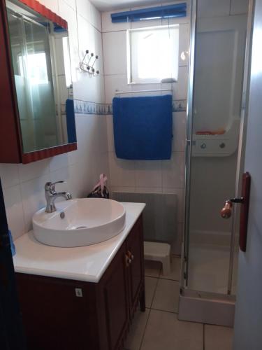 un baño con lavabo y ducha en MAISON AVEC JARDIN PROCHE MER, en Penmarch