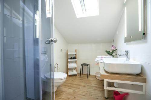 a bathroom with a sink and a toilet at Z&A Studio apartment with parking in Božava