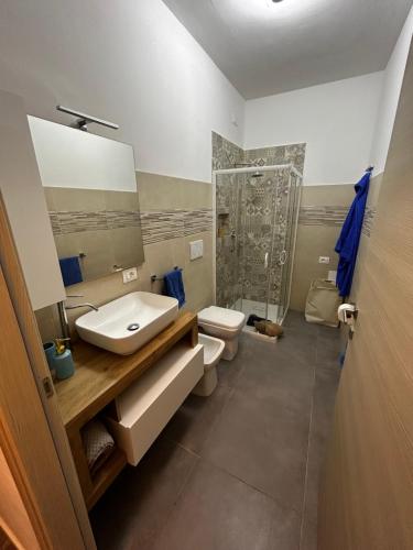 ein Bad mit einem Waschbecken, einem WC und einer Dusche in der Unterkunft Le magnolie in San Salvo