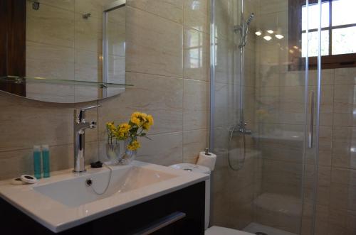 y baño con lavabo y ducha acristalada. en Galeón Ossorio Vistas Panoramicas, en Vallehermoso