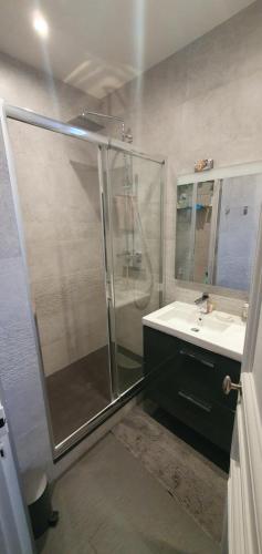 een badkamer met een douche en een wastafel bij L'élégance à proximité du centre aquatique des JO in Levallois-Perret