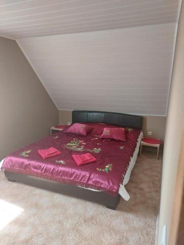 a bedroom with a bed with red sheets and red pillows at Dariaus ir Gireno 7 in Zarasai