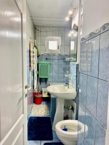 een kleine badkamer met een toilet en een wastafel bij Mainstreet Apartments Suceava in Suceava