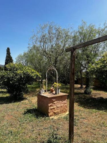 Κήπος έξω από το Villa en Llucmajor, Es Lluch