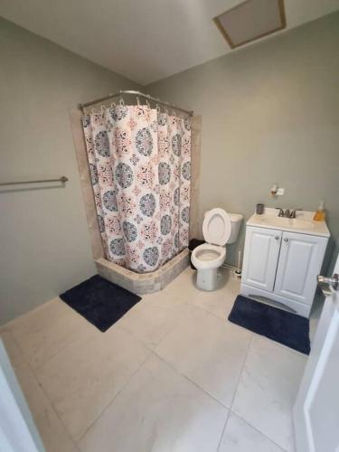 uma casa de banho com um WC e uma cortina de chuveiro em Spacious and Comfy 1 bdr 1 bth Great location em Long Swamp