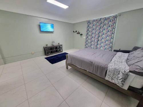 1 dormitorio con 1 cama y TV en la pared en Spacious and Comfy 1 bdr 1 bth Great location, en Long Swamp