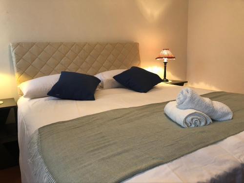 een slaapkamer met een groot bed met 2 kussens bij Tre Grazie - Quando il viaggio offre l'esperienza in Possagno