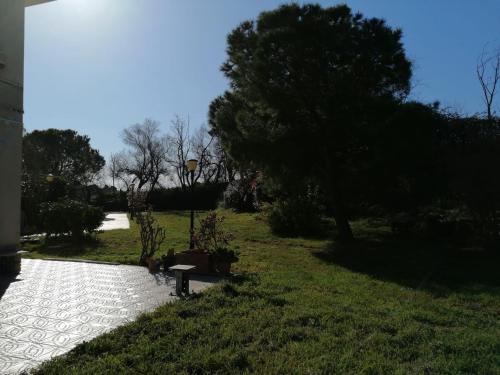 Zahrada ubytování le tamerici B&B