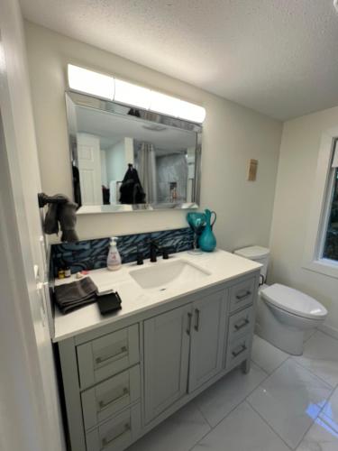 La salle de bains est pourvue d'un lavabo, de toilettes et d'un miroir. dans l'établissement Mountainview Cottage, à Chilliwack