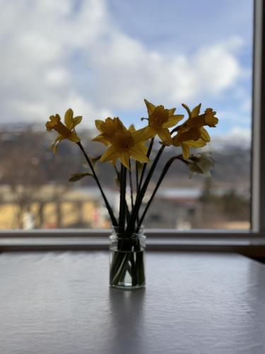 Guesthouse Tálknafjörður في Talknafjordur: مزهرية مليئة بالورود الصفراء جالسة على طاولة