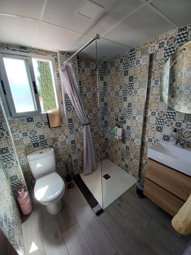y baño con aseo, ducha y lavamanos. en Apartamento Arrufat&Osorio, en Granada