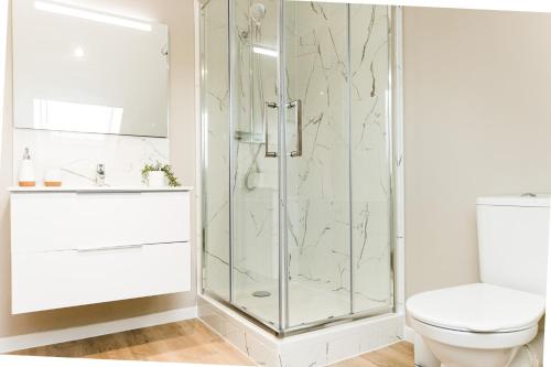 ルマンにあるLe Zen - Superbe logement - Centre - Tram - Gareのシャワーとトイレ付きのバスルーム