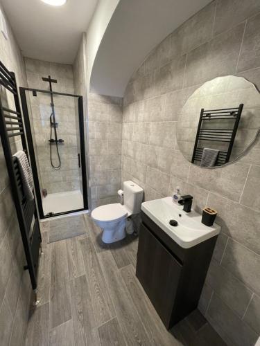 uma casa de banho com um WC, um lavatório e um espelho. em Harbour watch em Holyhead