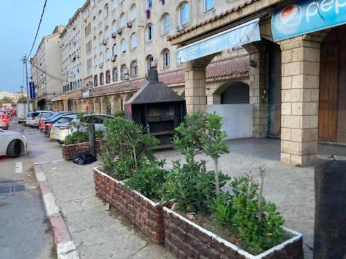 a building with some plants on the side of a street at Résidence hadji in Sidi Ferruch