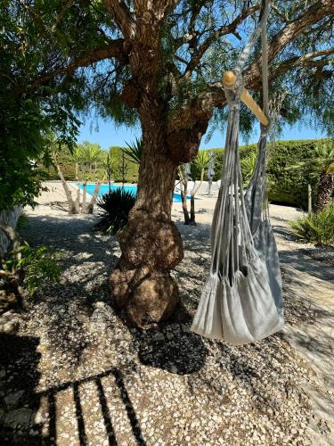 a tree with nets around it next to a beach at Villa Connie in Serranova