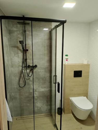 a bathroom with a shower and a toilet at Apartament z ogrodem in Przemyśl