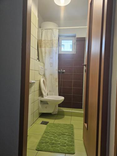 a bathroom with a toilet and a green rug at Apartament Cerna in Băile Herculane