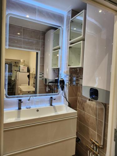 une salle de bain avec un lavabo et un miroir dans l'établissement Gite à moins de 10 minutes de la cité médiévale de Carcassonne, à Carcassonne