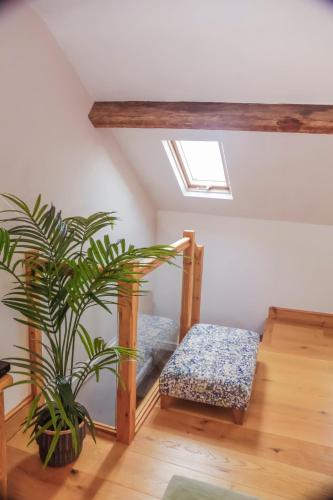a room with a bed and a potted plant at Chester Townhouse in the City Centre in Chester