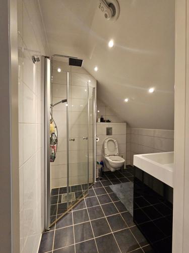 een badkamer met een douche, een toilet en een wastafel bij Hjem i Sørumsand 25 min fra Gardermoen 